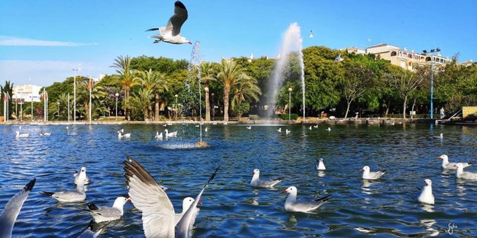 Апартаменты Torrevieja Experience San Julian Экстерьер фото